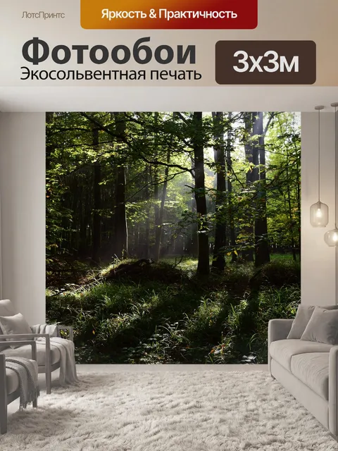 Фотообои Лес
