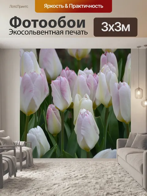 Фотообои Тюльпаны