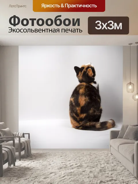 Фотообои Кот
