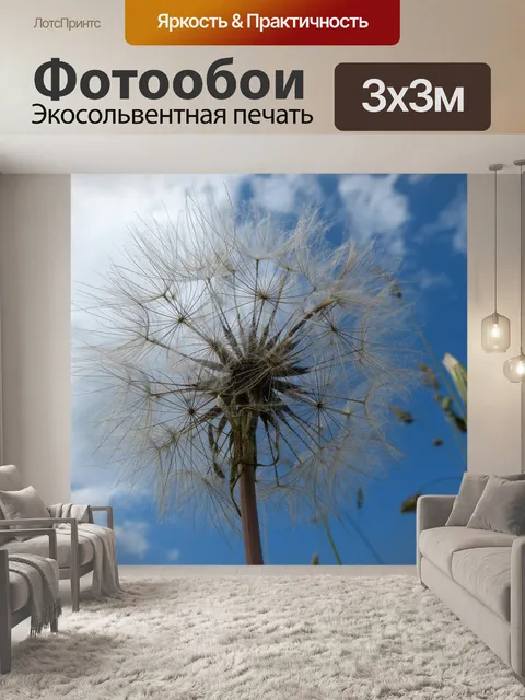 Фотообои Одуванчик