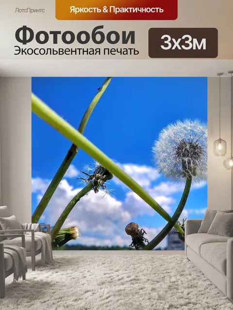 Фотообои Город