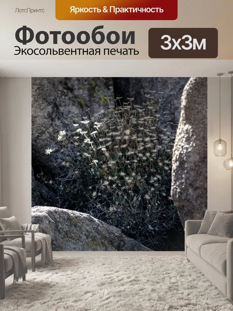Фотообои Цветы пустыни