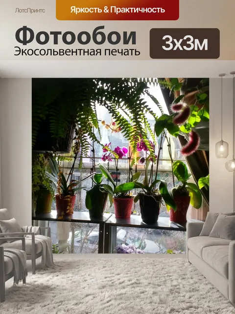 Фотообои Орхидеи в окне