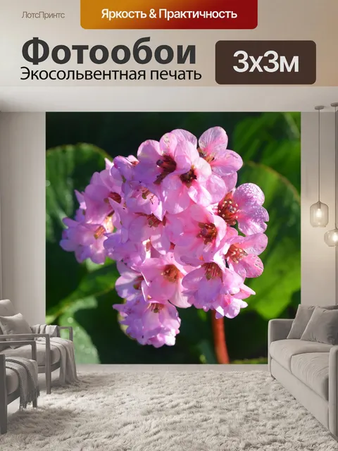 Фотообои Розовые цветы