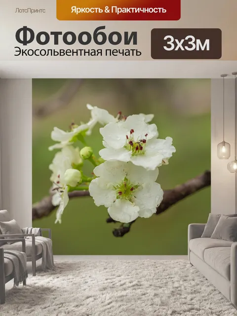 Фотообои Цветы
