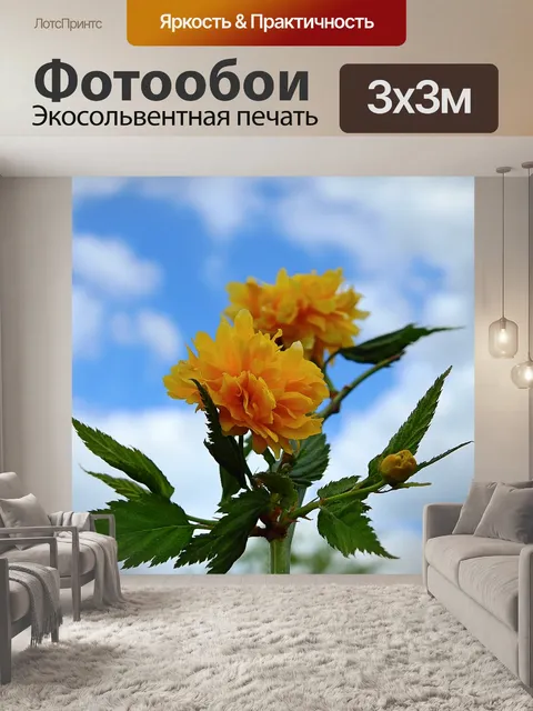 Фотообои Цветы