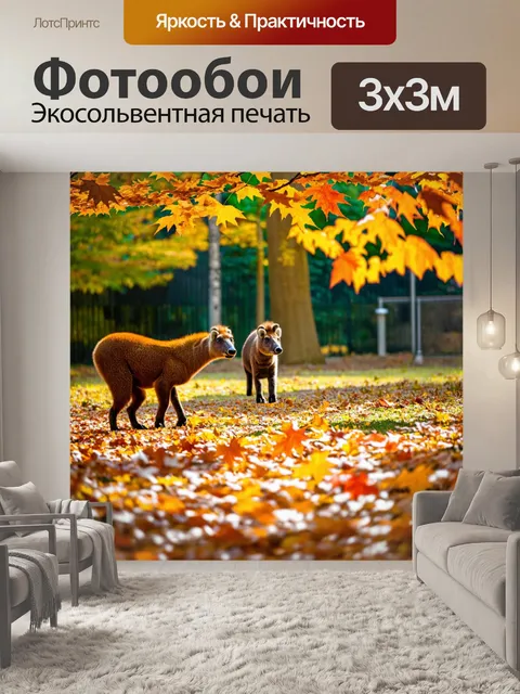 Фотообои осень в зоопарке, животные готовятся к зиме, листья опадают