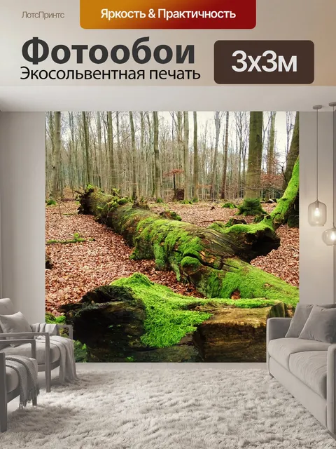 Фотообои Лес