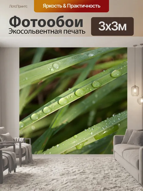 Фотообои Роса