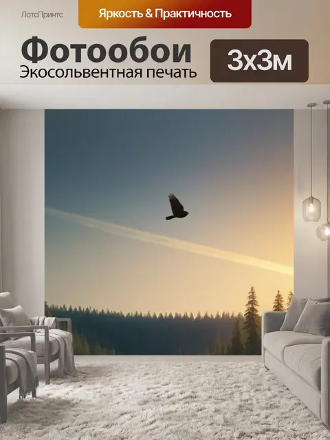 Фотообои птица-парит в лучах заката над лесом
