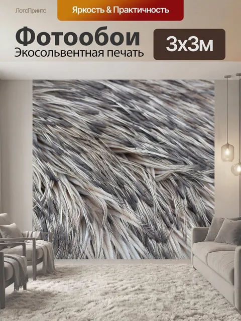 Фотообои Эму