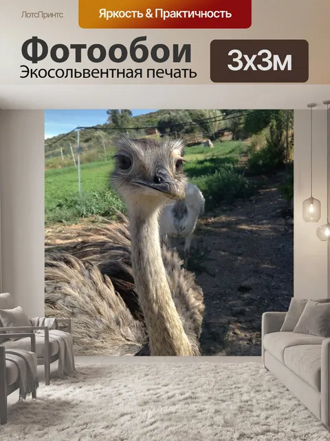 Фотообои Природа