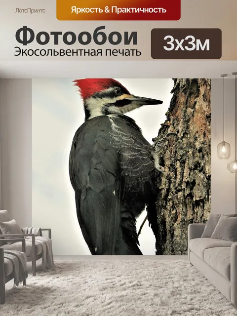 Фотообои Пилотный дятел на дереве