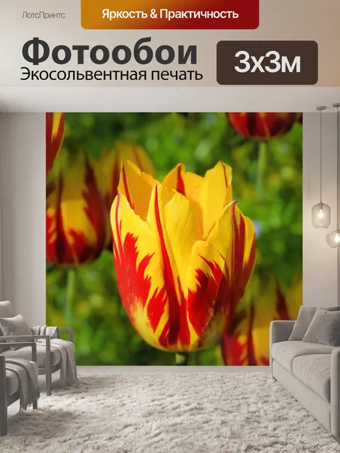 Фотообои Расцветает