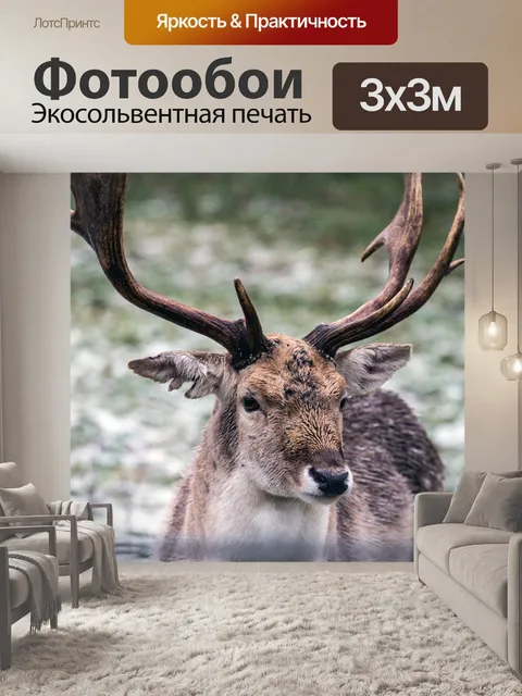 Фотообои Лань