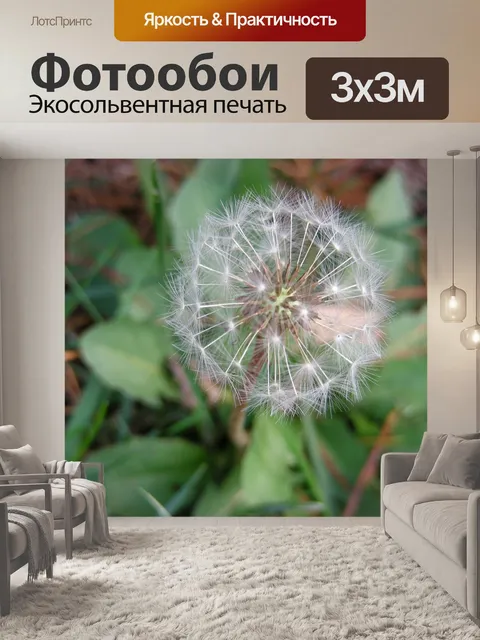 Фотообои Одуванчик