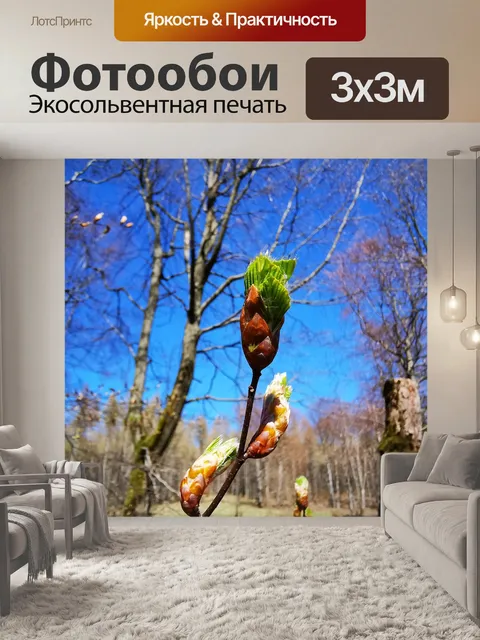 Фотообои Бутон