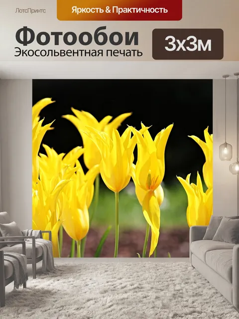 Фотообои Тюльпаны