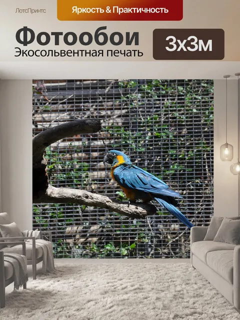 Фотообои Птица