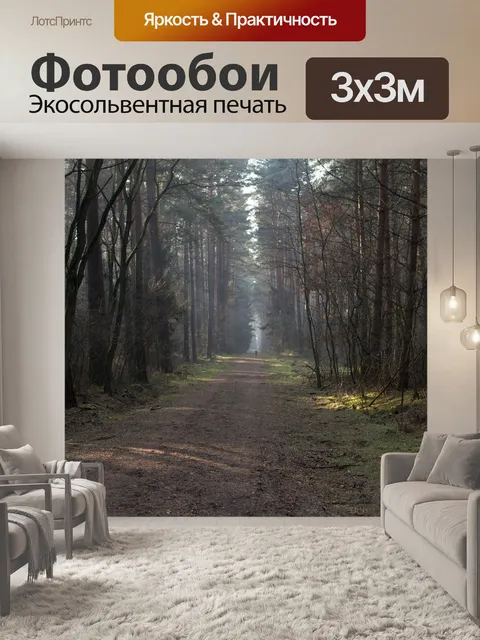 Фотообои Путь