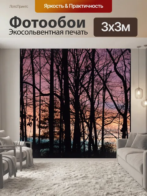 Фотообои Закат сквозь деревья