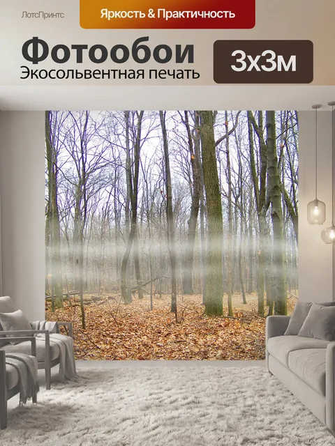Фотообои Туман