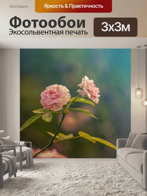 Фотообои Роза
