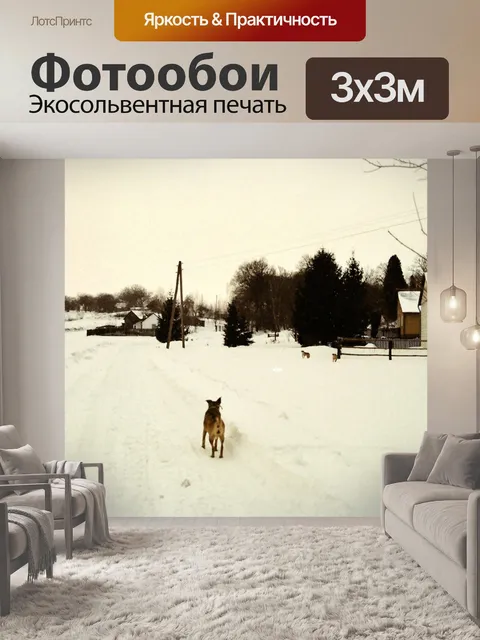 Фотообои Сельские дороги возле Люблина