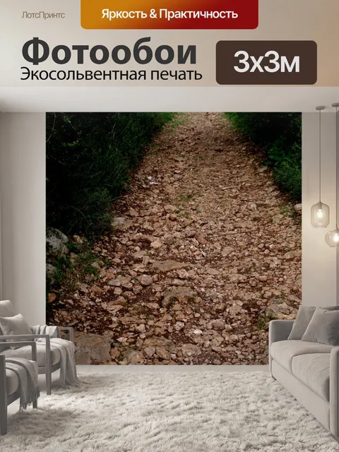 Фотообои Скрытый путь в природе