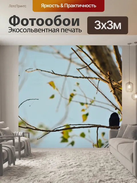 Фотообои Птица