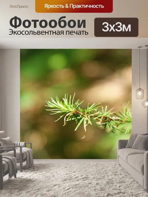 Фотообои Лес
