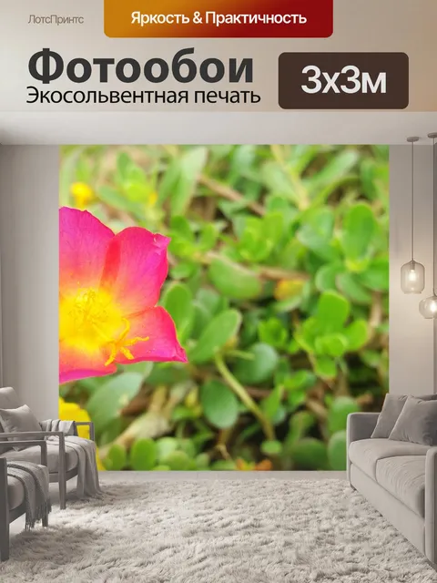 Фотообои Цветы