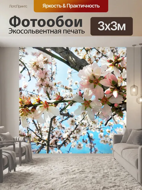 Фотообои Персиковый цвет