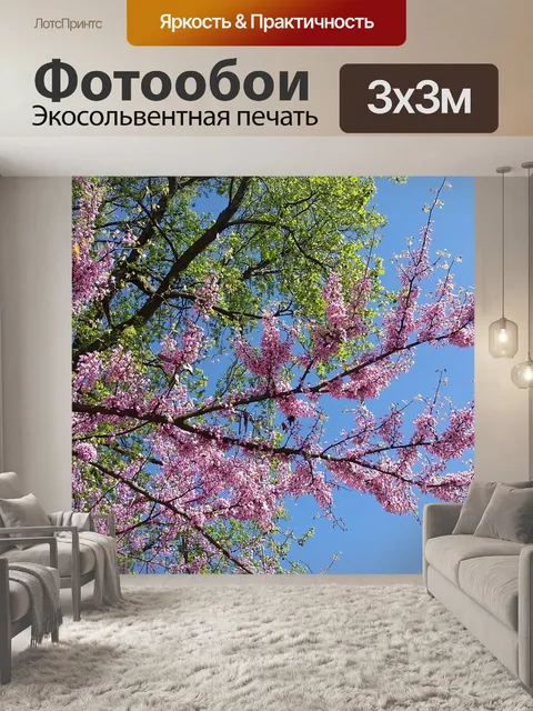 Фотообои Деревья