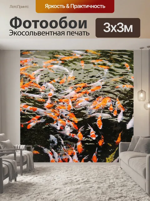 Фотообои Рыбы