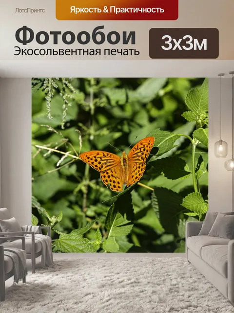 Фотообои Бабочка