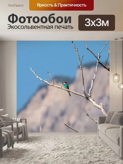 Фотообои Золотистая щурка