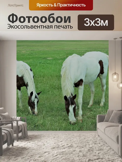 Фотообои Лошади