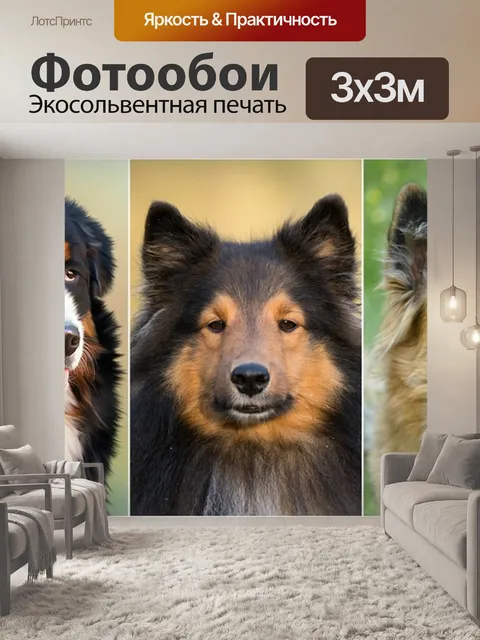 Фотообои Собаки