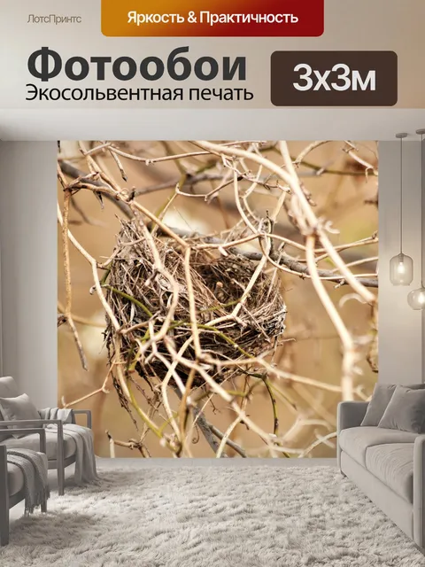 Фотообои Заброшенное гнездо колибри