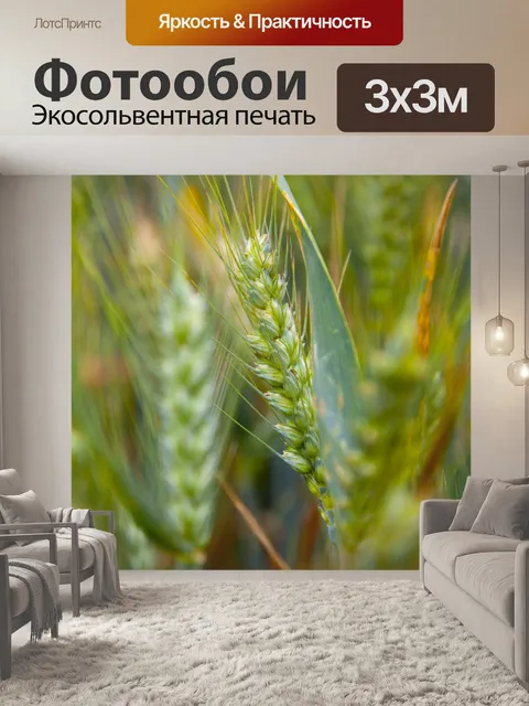 Фотообои Золотое пшеничное поле и солнечный день