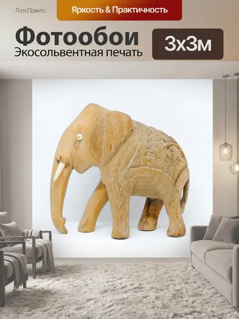 Фотообои Животное