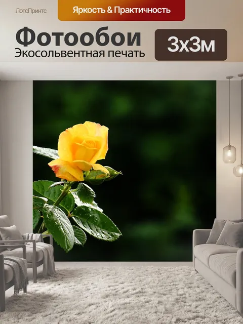 Фотообои Роза