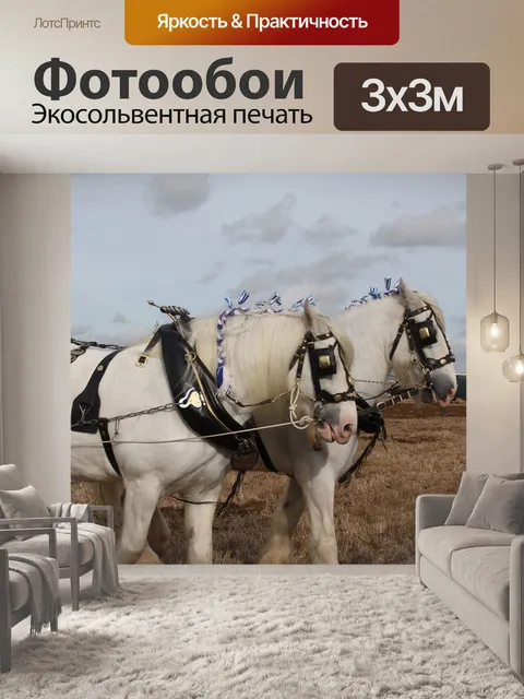Фотообои Лошади