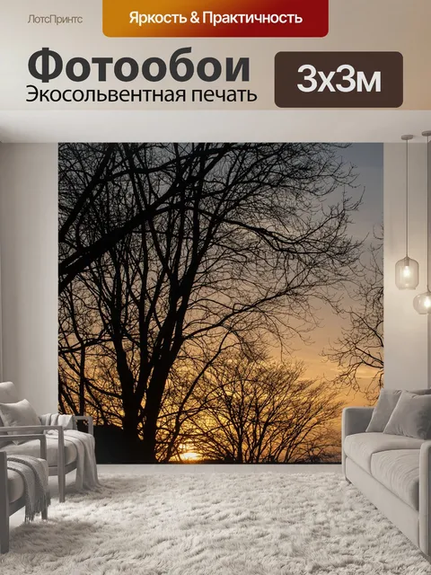 Фотообои Солнце