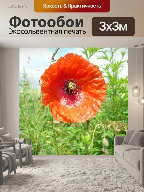 Фотообои Мака