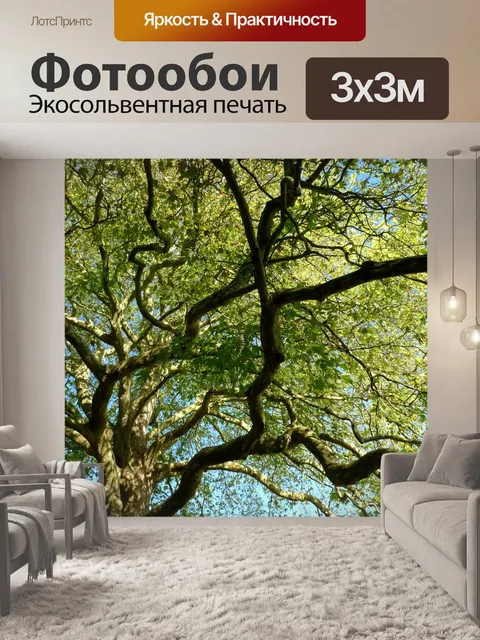 Фотообои Дерево