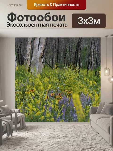 Фотообои Полевые цветы в лесу