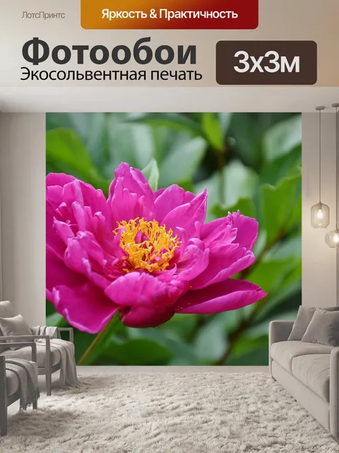 Фотообои Пион