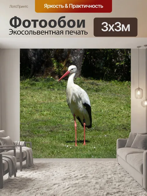 Фотообои Аист